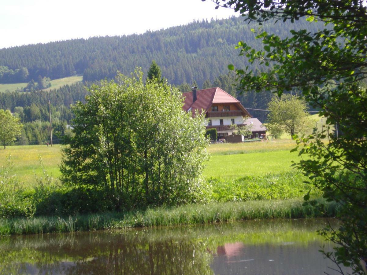 Apartament Ferienhaus Ehinger Breitnau Zewnętrze zdjęcie