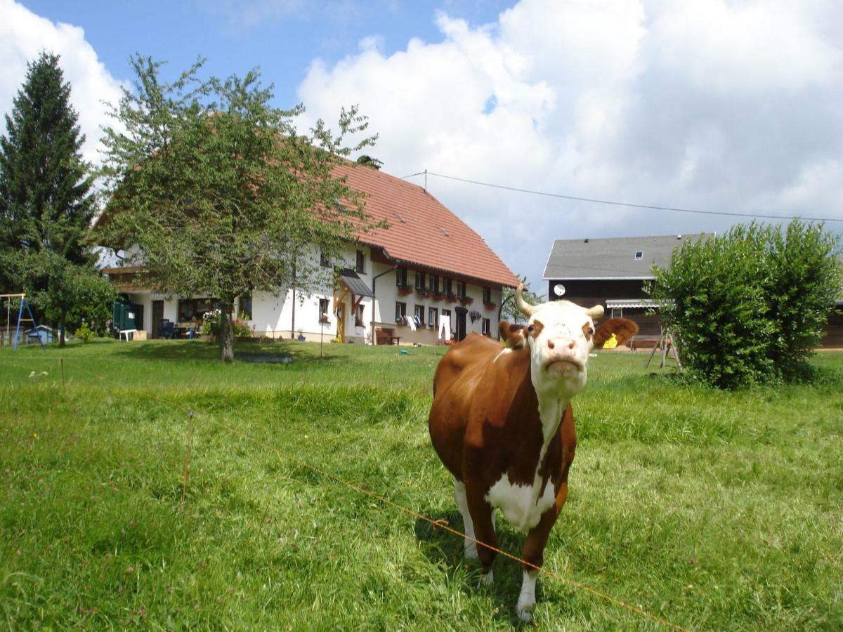 Apartament Ferienhaus Ehinger Breitnau Zewnętrze zdjęcie