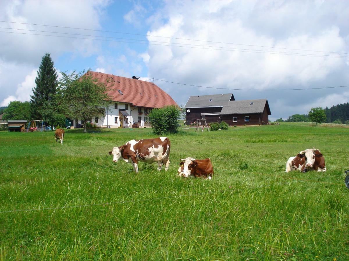 Apartament Ferienhaus Ehinger Breitnau Zewnętrze zdjęcie