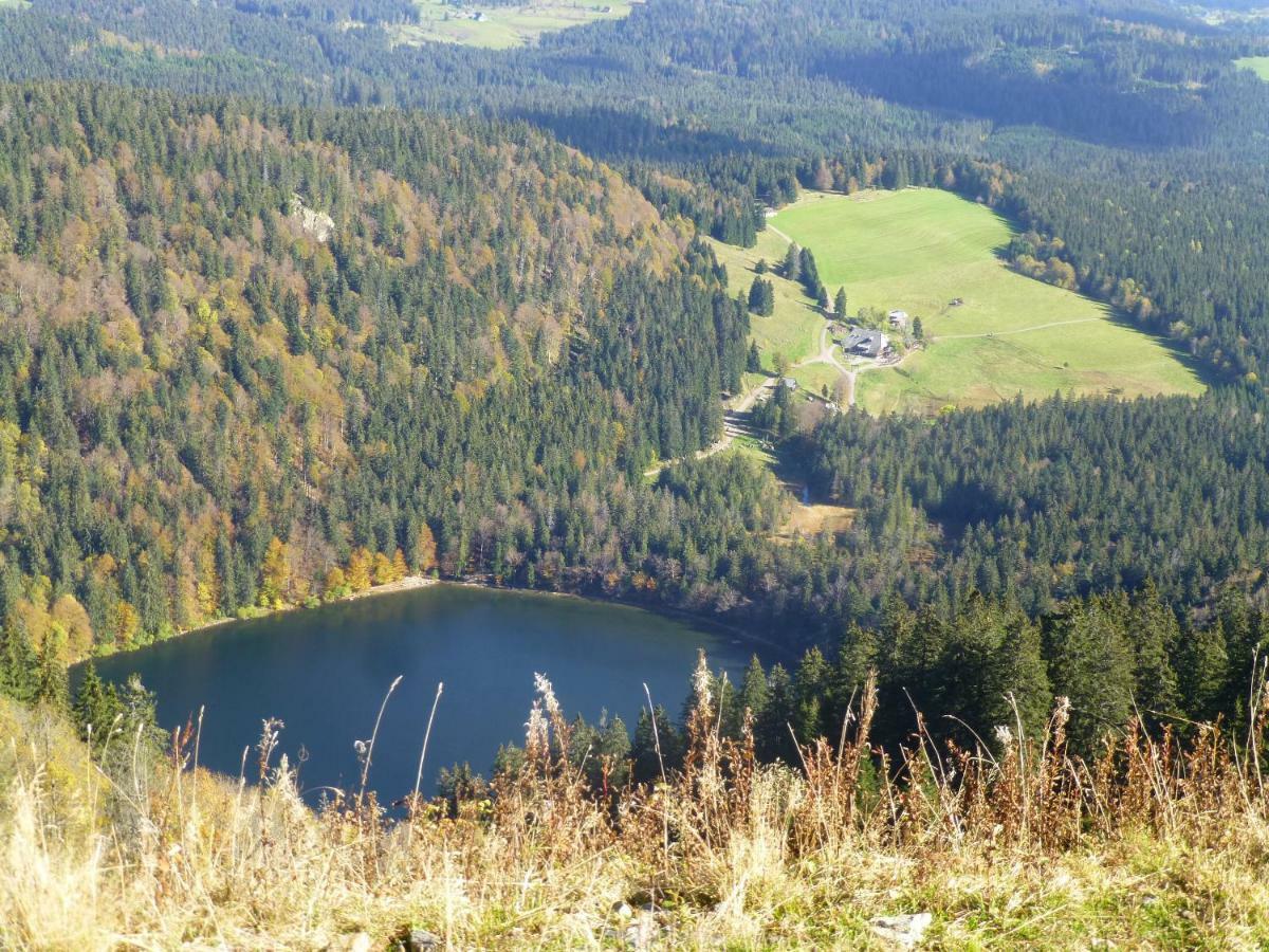 Apartament Ferienhaus Ehinger Breitnau Zewnętrze zdjęcie