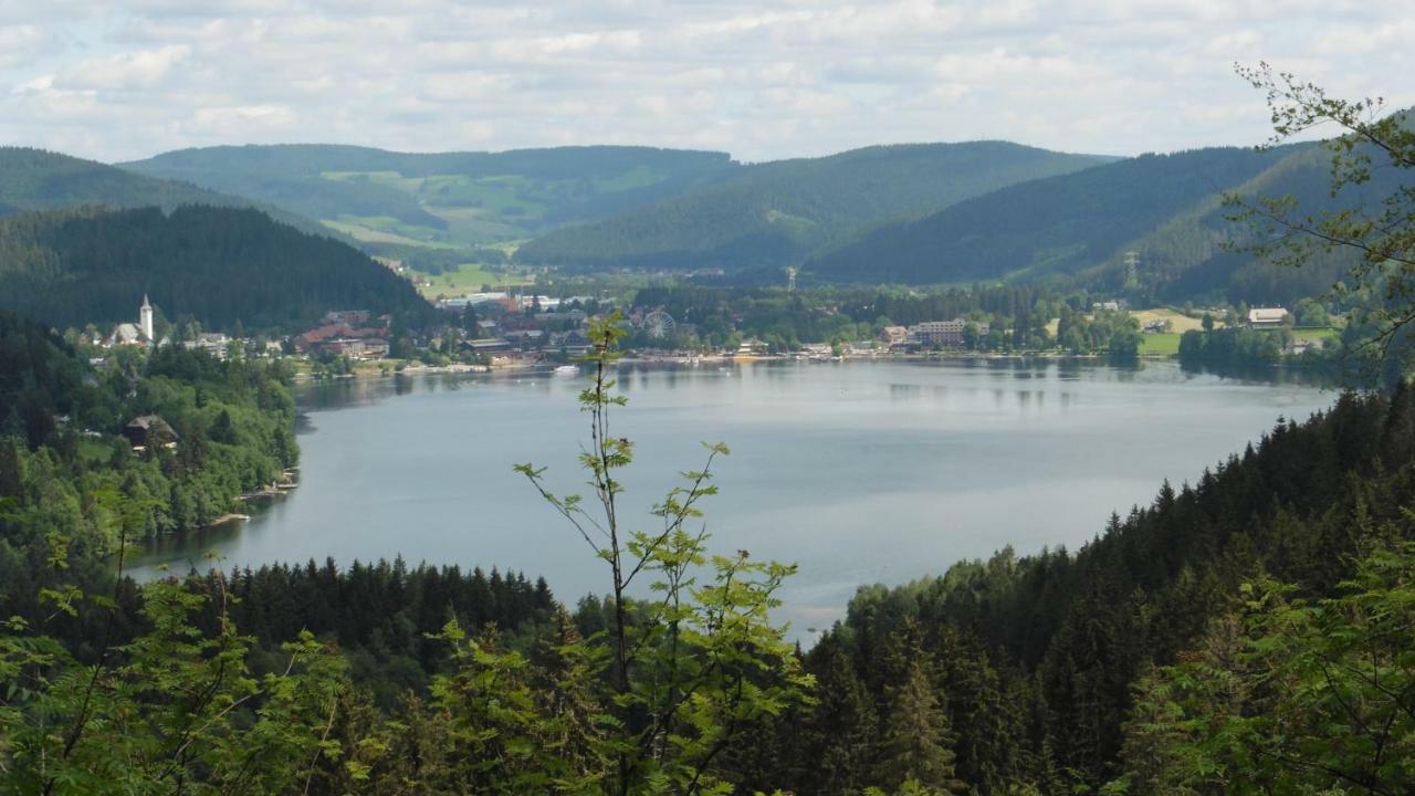 Apartament Ferienhaus Ehinger Breitnau Zewnętrze zdjęcie